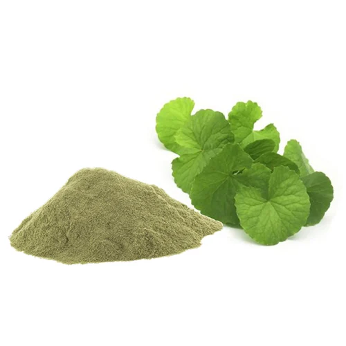 Brahmi